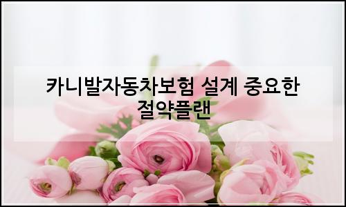 오늘의 이미지