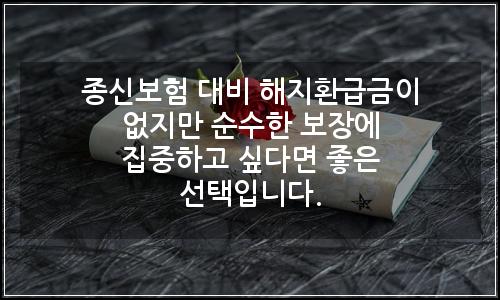 오늘의 이미지