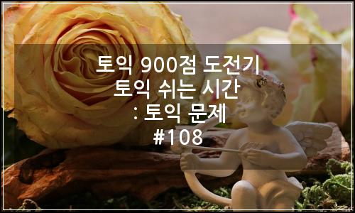 오늘의 이미지