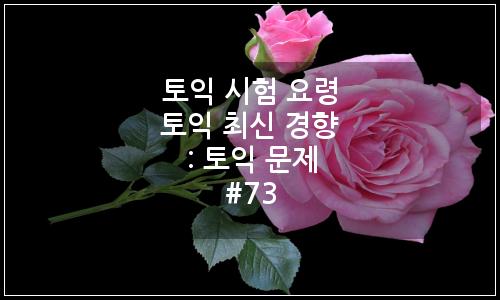 오늘의 이미지