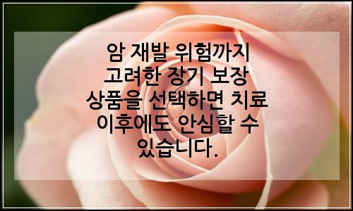 오늘의 이미지