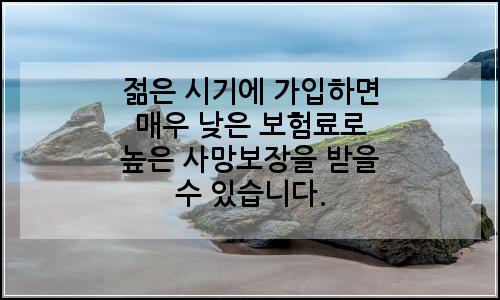 오늘의 이미지