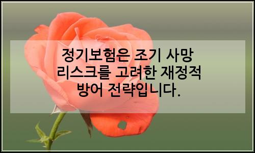 오늘의 이미지