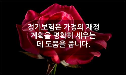 오늘의 이미지