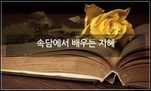 오늘의 이미지