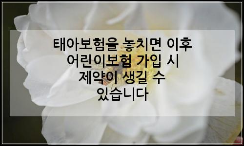 오늘의 이미지