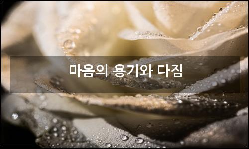 오늘의 이미지