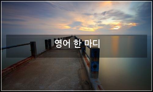 오늘의 이미지