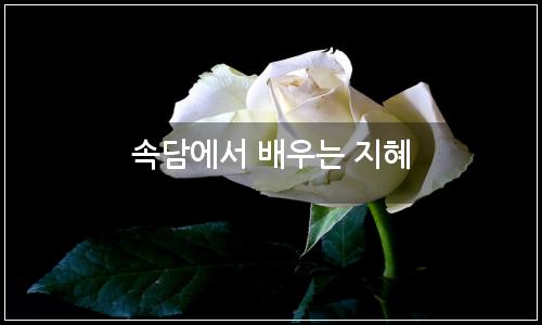 오늘의 이미지