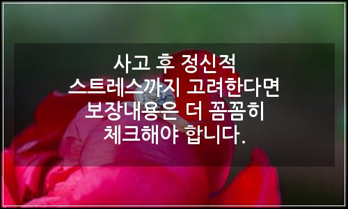 오늘의 이미지