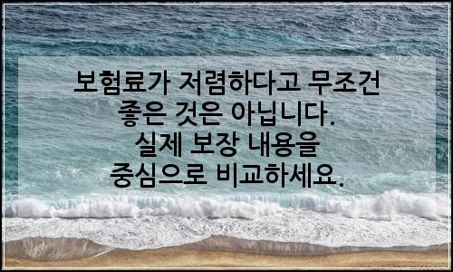 오늘의 이미지