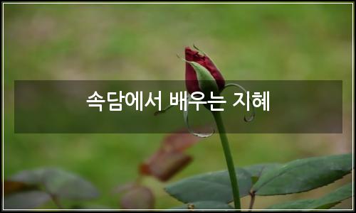 오늘의 이미지