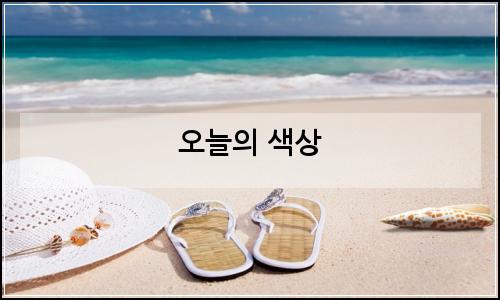 오늘의 이미지