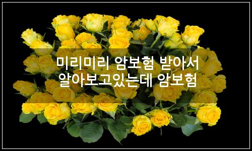 오늘의 이미지