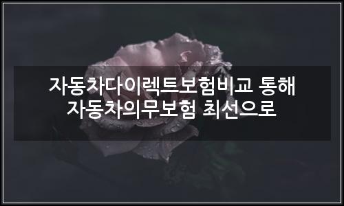 오늘의 이미지
