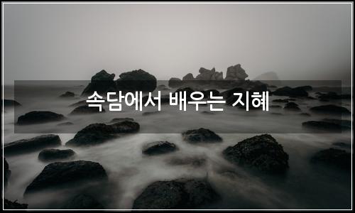 오늘의 이미지