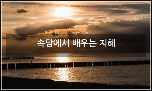 오늘의 이미지