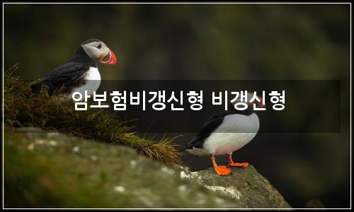 오늘의 이미지