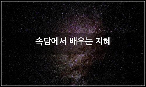 오늘의 이미지