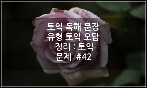 오늘의 이미지