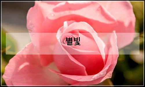 오늘의 이미지