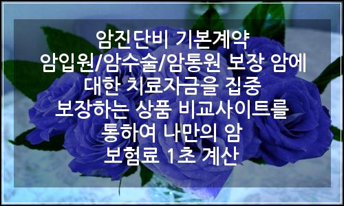 오늘의 이미지