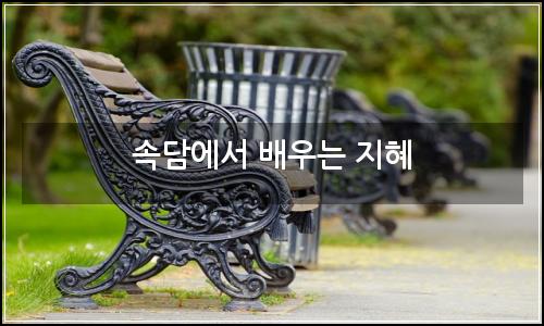 오늘의 이미지