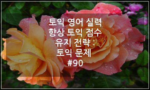 오늘의 이미지