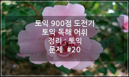 오늘의 이미지