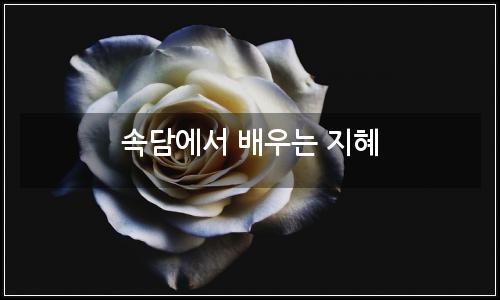 오늘의 이미지