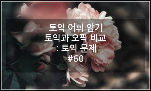 오늘의 이미지