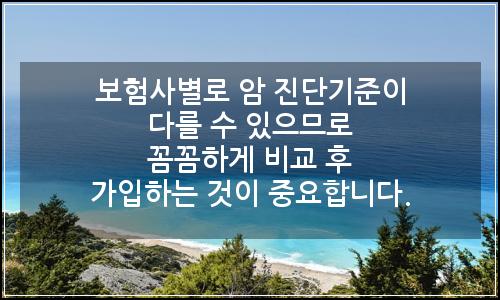 오늘의 이미지