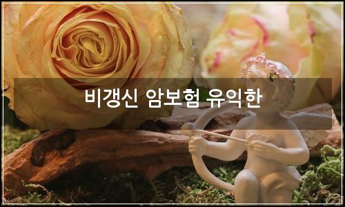 오늘의 이미지