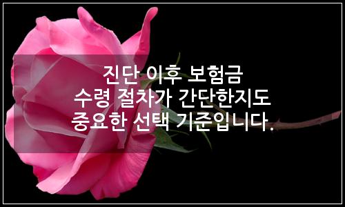 오늘의 이미지