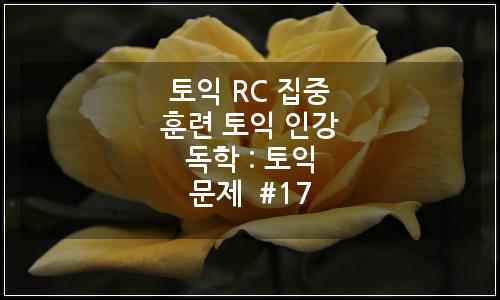 오늘의 이미지