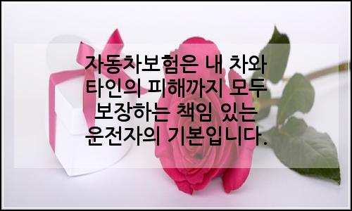 오늘의 이미지