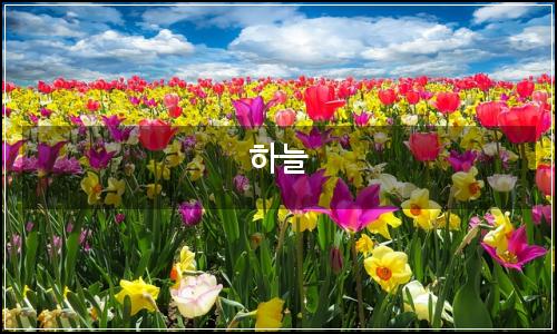 오늘의 이미지