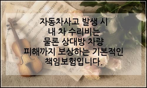 오늘의 이미지