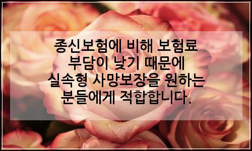 오늘의 이미지