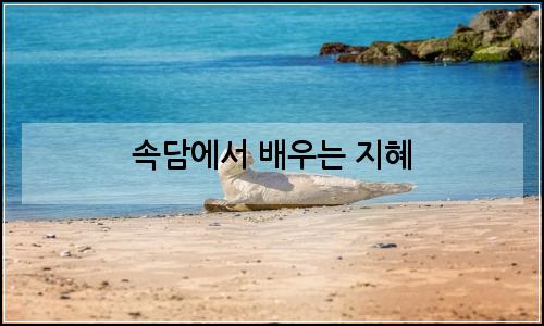 오늘의 이미지