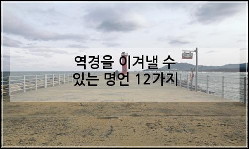 오늘의 이미지