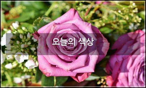 오늘의 이미지