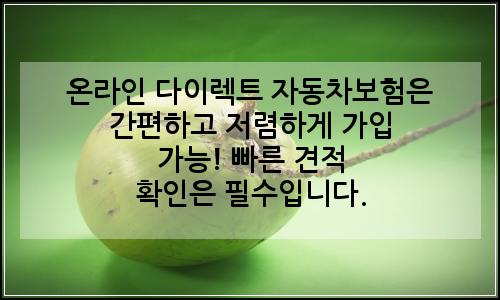 오늘의 이미지