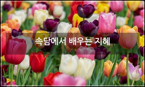 오늘의 이미지