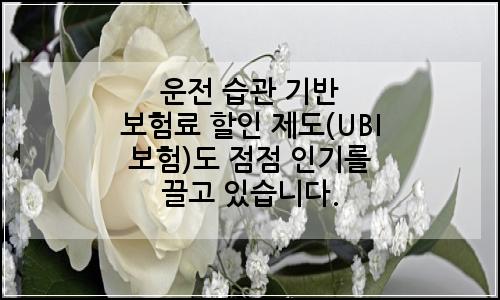 오늘의 이미지