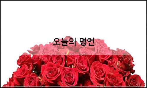 오늘의 이미지