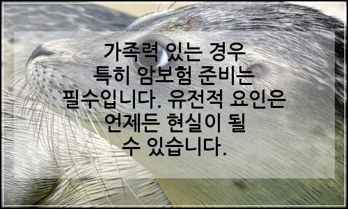 오늘의 이미지