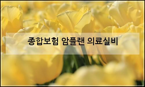 오늘의 이미지