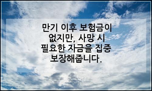 오늘의 이미지