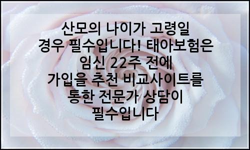 오늘의 이미지